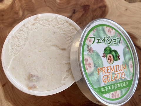知多半島産果実使用！　　【フェイジョアジェラート＆ブルーベリージェラート】各3個セット