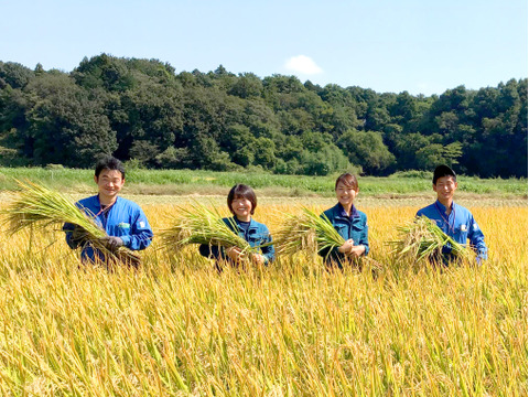 【茨城県産・雑穀米】美穀美人ミックス　450gx1袋