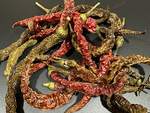 【乾燥唐辛子】初心者お勧めの辛さ！魔女の杖（約20g）農薬・化学肥料不使用