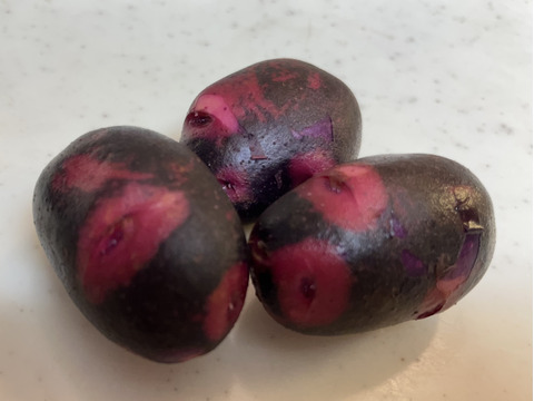 【土付き】ねっとり食感の派手なじゃがいも「グラウンドペチカ（デストロイヤー）」 ２キロ箱