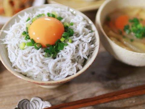 大人気しらすの佃煮4種セット😍(生姜、山椒、柚子、蜜柑　佃煮60ｇ×4 )
