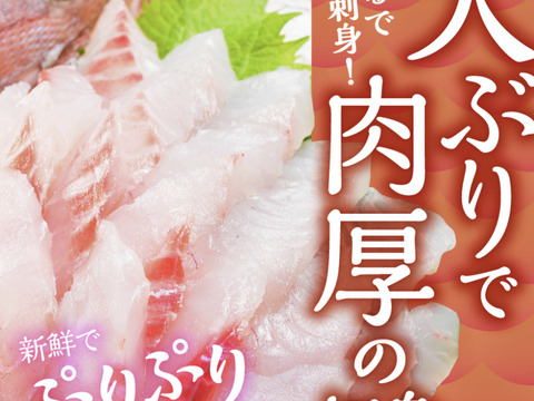 【訳あり】鯛ごま茶漬け(4袋)