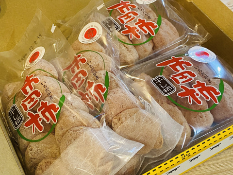 むっちり甘い干し柿！市田柿300g×2  170g×2セット