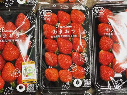 (まとめ買い用)オーガニックあまおう　200gパック　※ヤマト80サイズで発送します※