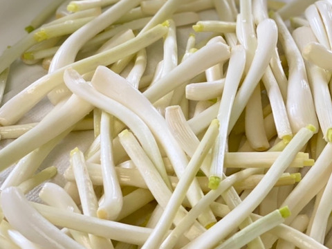 大好評！島らっきょう　1kg