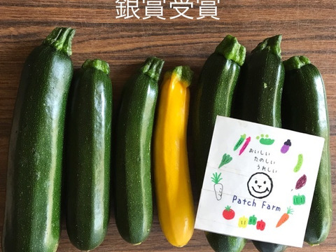 【期間限定・即日発送可】瑞々しいズッキーニ　10本