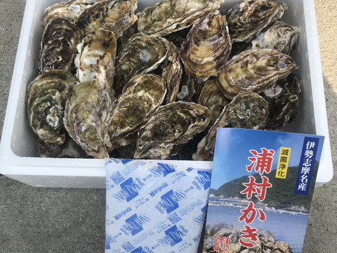 牡蠣好き歓喜の30%増量中！S～Mサイズ 20個入り 1.8Kg 
【生牡蠣】【生食用】三重県産 殻付き 浦村かき(2～4人前）
牡蠣 貝類 海鮮 BBQ バーベキュー 牡蠣パーティ母の日父の日ギフト