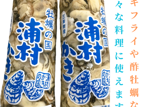 えっ、こんなに⁉ 牡蠣好き歓喜の20%増量中！
三重県産 浦村かき  むき身500g＋殻付き20個 ×3箱
（1箱あたり、約2.7kg前後、4～5人前）
【贈り物】【生牡蠣】【生食用】 母の日父の日