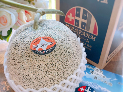 【甘さもサイズもビッグ🍈】富良野メロン 赤肉2玉（特大玉）各2.0kg以上 　根強い人気の夏ギフトです🎁