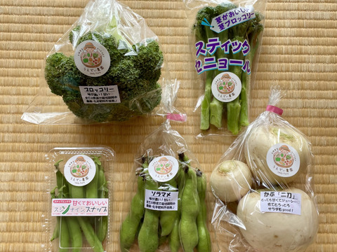 濃甘！野菜セット5種類 農薬・化学肥料不使用♪個包装