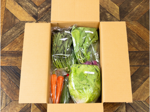 【自然栽培×固定種】の野菜セット「プレミアム野菜ボックス」