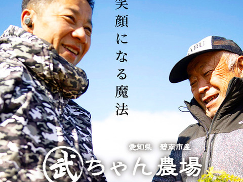 <残留農薬不検出5kg>！武ちゃん農場のハッピーきゃろっと　5kg (250g~420g20本程 )
