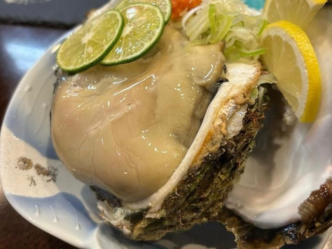 《日間賀島産》素潜り漁採取，天然岩牡蠣
超特大サイズ
濃厚な旨味、海のミルク、4Kg4-6個入
なんと‼️下処理して発送‼︎
3名限定レビューサービス有！