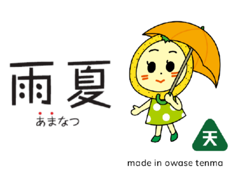 【栽培期間中：農薬不使用】尾鷲の木成り完熟雨夏（甘夏）10kg