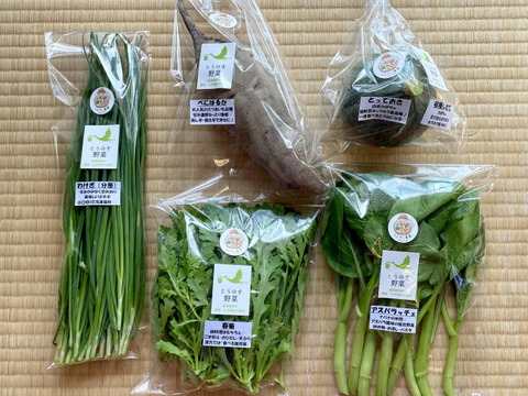 濃甘！野菜セット5種類 農薬・化学肥料不使用♪個包装
