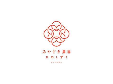 おいしいをそのまま！冷凍イチゴ『熊本ひのしずく』2
Kg