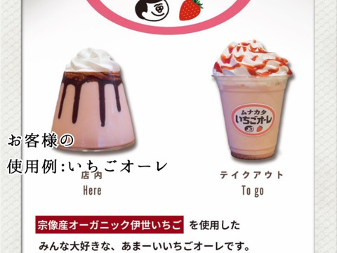 【業務用】完熟！オーガニック冷凍あまおう 4kg(500g×8)