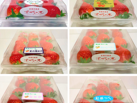 令和4年度 農林水産大臣賞受賞！お家でいちご狩り気分♪いちご最大6品種（3品種以上保障）食べ比べセット計6パック（約230 g × 6パック　計約1.4 ㎏）【いちご食べ比べ】