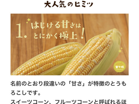 【限定早期発送】6/5〜6/14発送『甘々娘（かんかんむすめ）or  甘太郎』A品小箱4〜6本入り鮮度保持フィルムで全国発送でも採りたてのトウモロコシを！