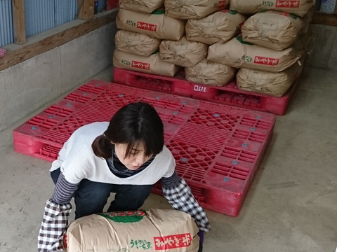 【 白米】5kg  特別栽培米  3種（ひとめぼれ・つや姫・ササニシキ）からお好きな銘柄をお選びいただけます！