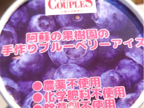 阿蘇産農薬不使用果実のアイス3種6個セット【3種×6個】