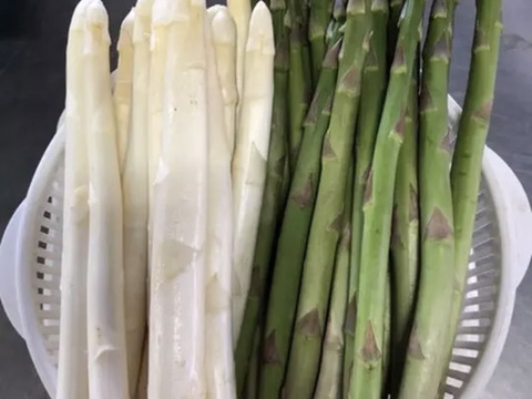 北海道羊蹄産❗️グリーン&ホワイトアスパラセット　1kg