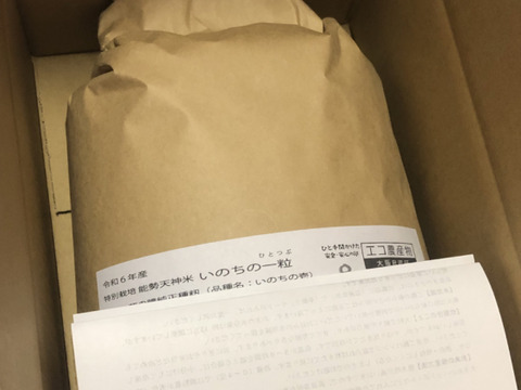 ❤️特別栽培令和6年新米5kg×2超大粒“米王”‼️甘くてモチモチ、香りの良い能勢天神米「いのちの一粒」（品種名:いのちの壱）白米。