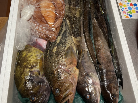 竹コース【知床羅臼直送】　船頭にお任せ！鮮魚ボックス（詰め合わせ) 海鮮セット