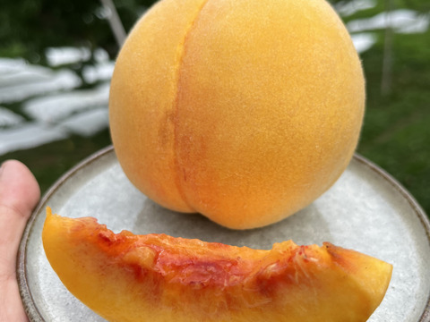 黄金桃 （約3kg）2箱