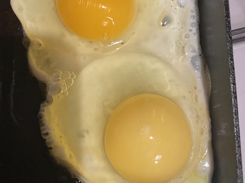 30個🥚エサと飼育環境にこだわった平飼い自然卵（有精卵）