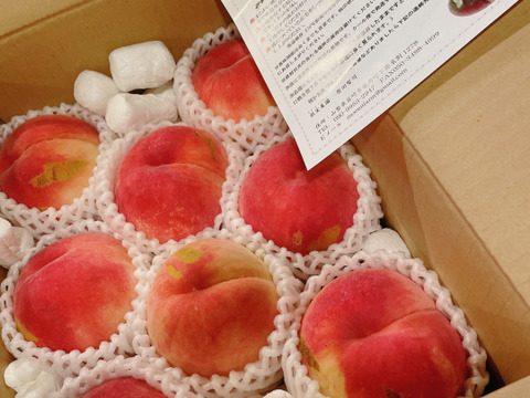 YW２B【晩生種】滴る果汁❗【硬くても甘い桃🍑】訳あり桃・約２kg（９個～５個）【2024年予約】