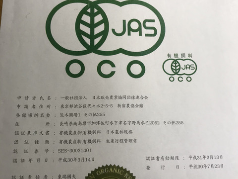 訳あり品【農薬・化学肥料不使用】MOA自然農法で育った紫菊芋　5kg