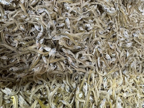 食べ応え抜群！ ちりめん　お徳用　300g