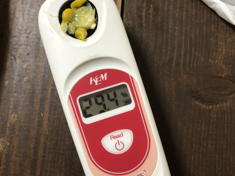 【甘さ自慢】オーガニックとうもろこし　4本セット（1.5kg・サイズ混合）