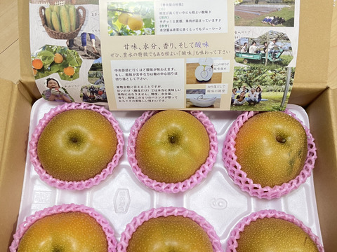 豊水 ６～７玉【訳あり！お買い得品！】口の中に果汁がジュワ～♪とこぼれる豊水梨「味は変わらないキズあり品」8月中旬頃～発送開始。
