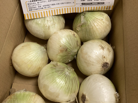 この時期だけしか食べられない♪淡路島新玉ねぎ「とろ甘・早生種」３kg