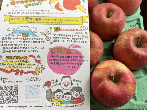令和7年度産早期予約セール7%OFF大玉から順に発送‼️🍎青森県産完熟葉取らずふじ家庭用キズあり約3kg‼️とことん味にこだわりました😊