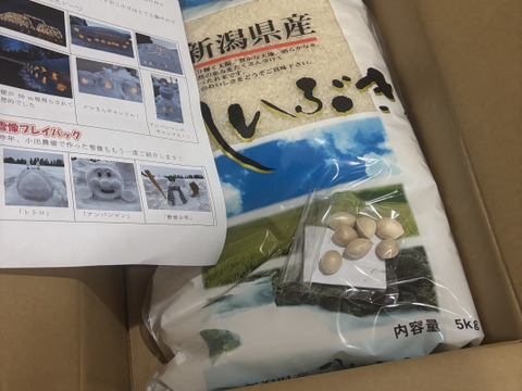 新潟県産　こしいぶき  白米  5キロ  令和6年産　お米　(61)