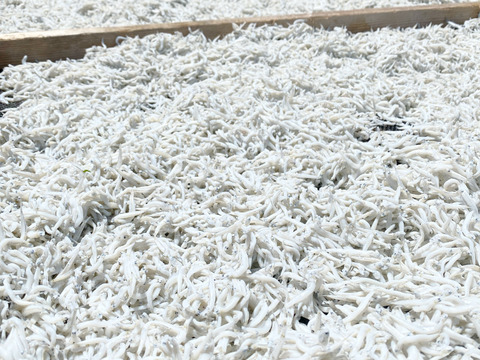 【金目鯛入り８種盛り】漁師におまかせ魚介セット(金)