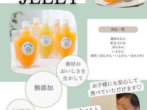 🍊飲むゼリー🍊無添加ジュレお試し10本set【各品種2本】