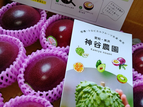 【山岸様専用】食べ頃パッションフルーツ  60個入り