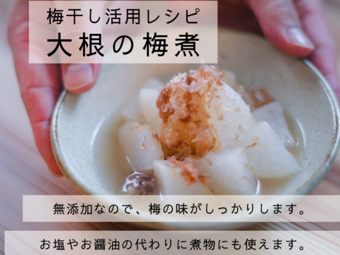 【無添加】梅干し好きが唸る。天日塩だけで漬けた梅干し 1kg / 完熟南高梅