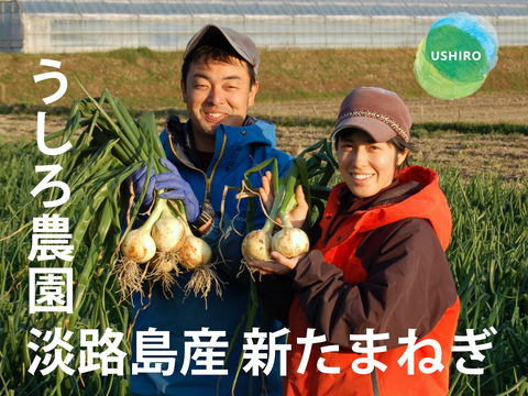 【大玉】淡路島　新玉ねぎ！みずみずしく、柔らか～い！5ｋｇ【ひょうご安心ブランド認証】特別栽培　早生