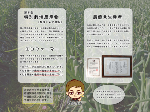 新玉ねぎ 春うらら【訳あり】【３キロ 】熊本県あしきた産 新春 令和７年度産 甘く シャキシャキでみずみずしい新玉ねぎ 春うらら 特別栽培 農薬通常の半分以下 除草剤不使用
