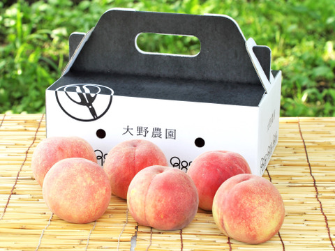 ＜2025年先行予約＞【桃：美郷・2kg程度】新食感の希少品種！甘くて硬い大玉の桃
