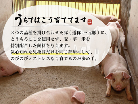みやじ豚[ロース・しゃぶしゃぶ]（500g）