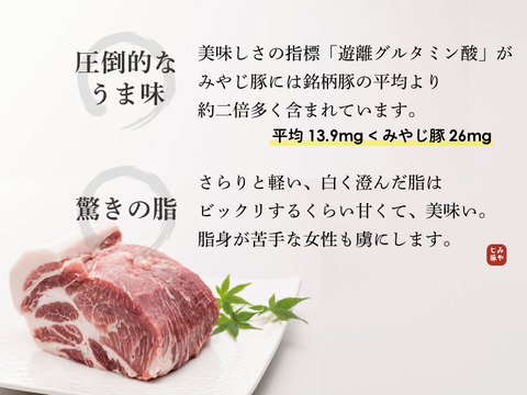 みやじ豚[ヒレ・1本]（450g相当）