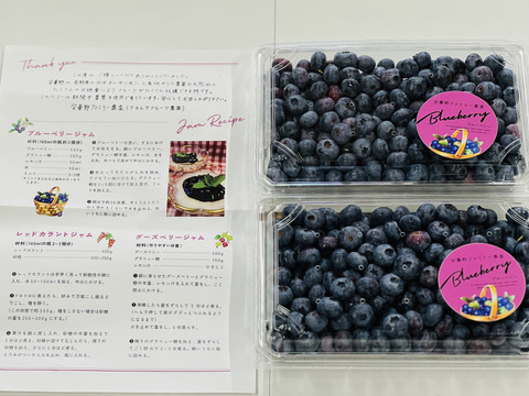 【食べチョク高評価No.1】ブルーベリー約1キロ【栽培期間中農薬不使用】大小ミックス 商品ID40461  旬 生食用 加工用 ベリー 果物 ギフト 贈答 家庭用 予約 6月 7月