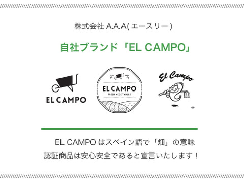 【TVでもとりあげられた】エシャレット400g　朝採り畑直送砂付き 島らっきょう