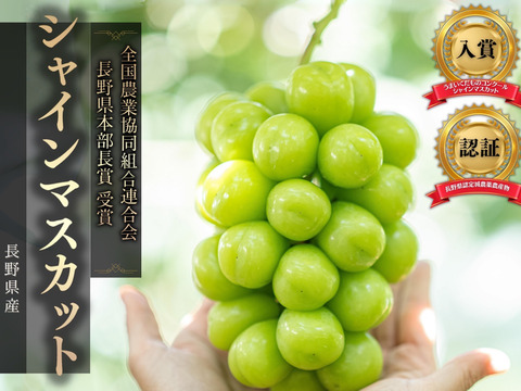 予約販売【国内大手百貨店取扱農園】☆シャインマスカット2kg以上☆